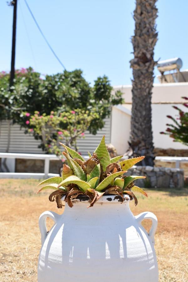 Hotel Aegeon Mylopotas Exterior foto